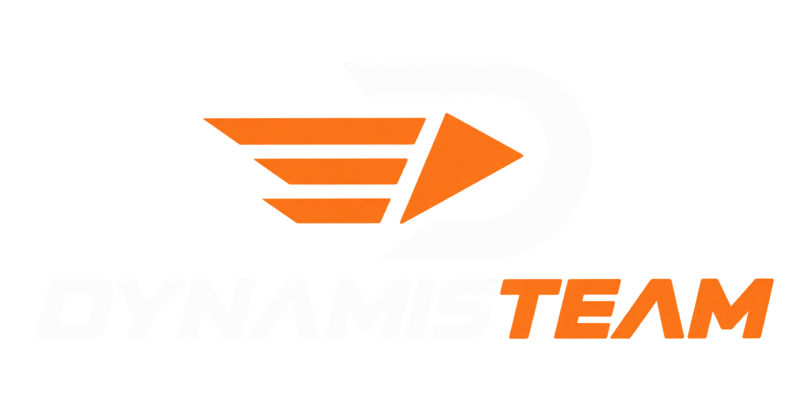 Dynamis Team